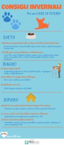 cane in inverno: infografica