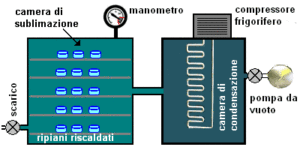 Processo di liofilizzazione