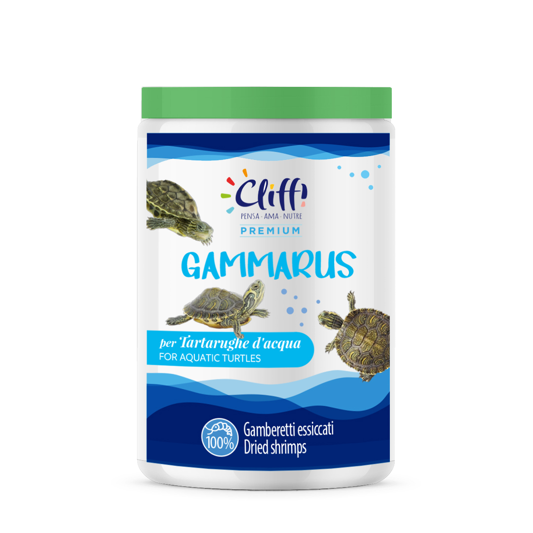 GAMMARUS_TARTARUGHE