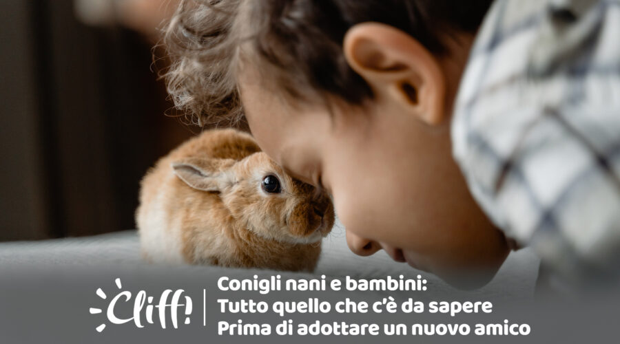 Conigli nani e bambini: tutto quello che devi sapere